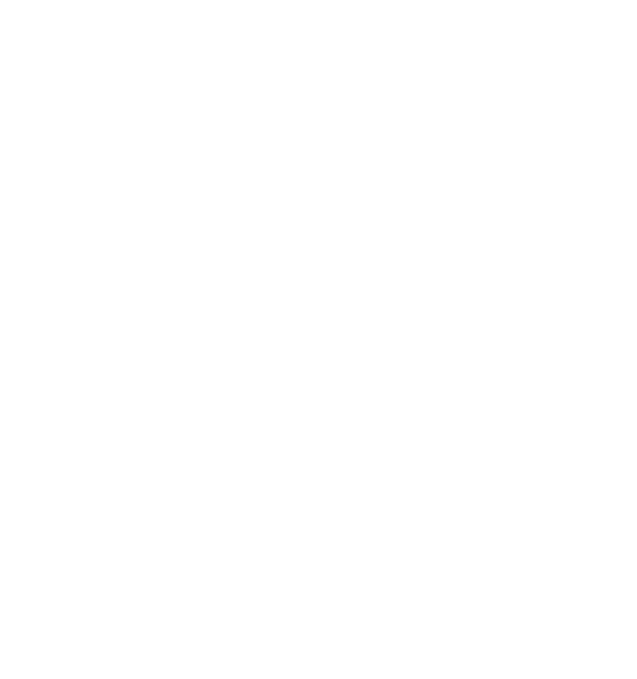 VfB Amberg Logo